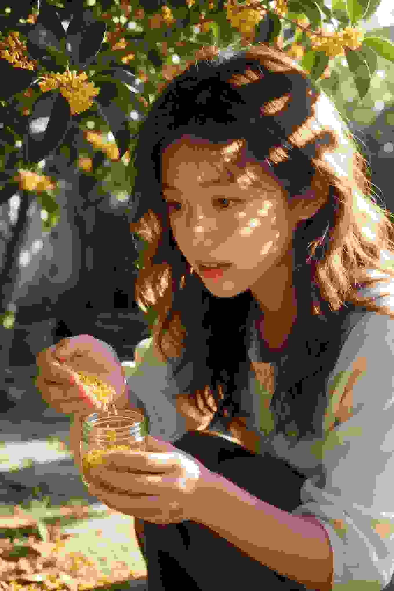 烈火芙蓉